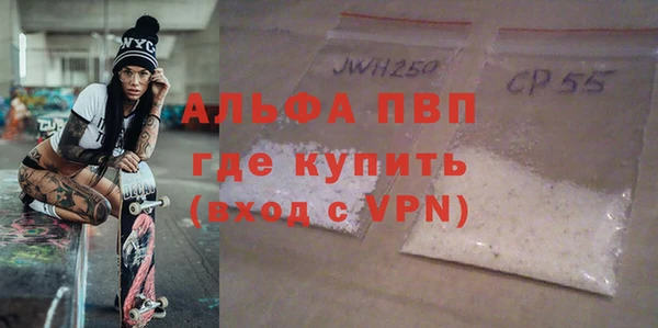 крисы Абаза