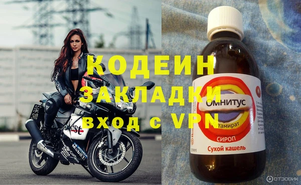 ПСИЛОЦИБИНОВЫЕ ГРИБЫ Медвежьегорск