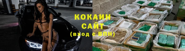 ПСИЛОЦИБИНОВЫЕ ГРИБЫ Медвежьегорск