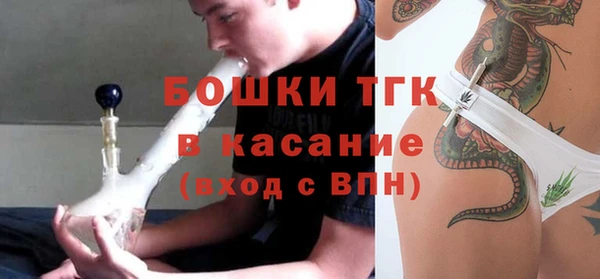 ГАЛЛЮЦИНОГЕННЫЕ ГРИБЫ Медногорск