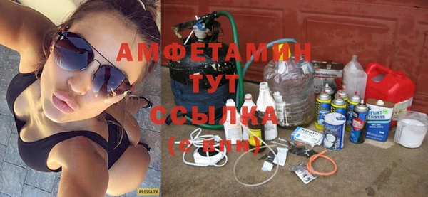 молекула духа Мегион