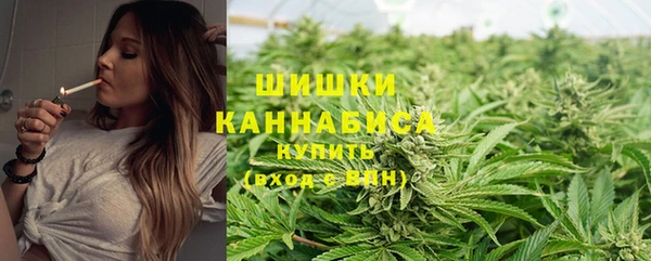 ПСИЛОЦИБИНОВЫЕ ГРИБЫ Медвежьегорск