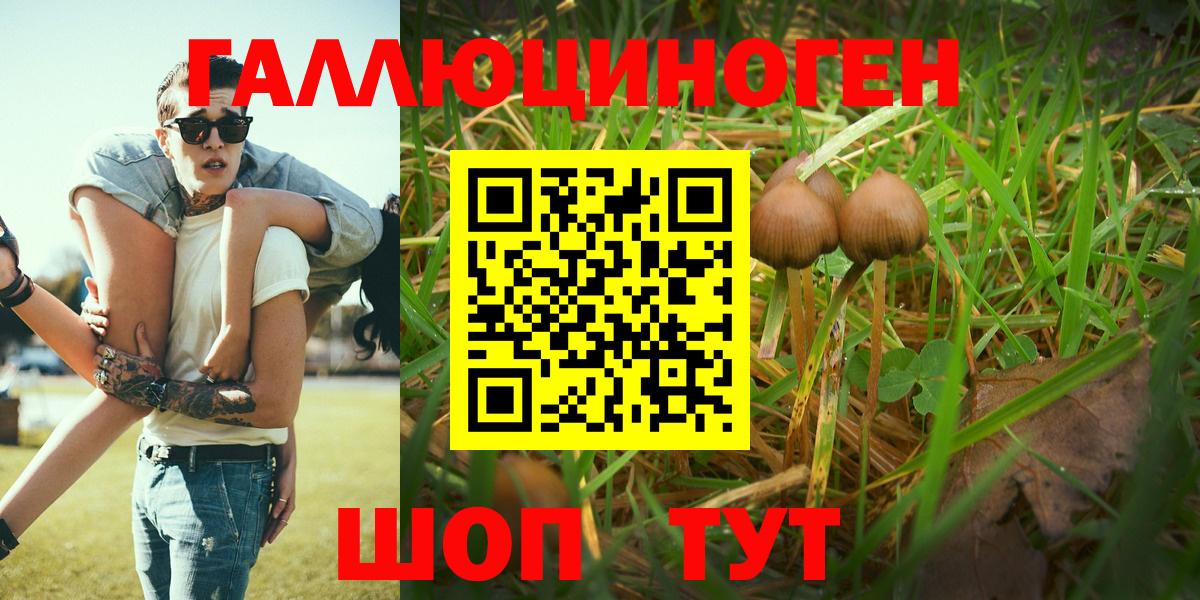 Галлюциногенные грибы Magic Shrooms  Псилоцибиновые грибы MAGIC MUSHROOMS  Абинск  Вход с VPN 