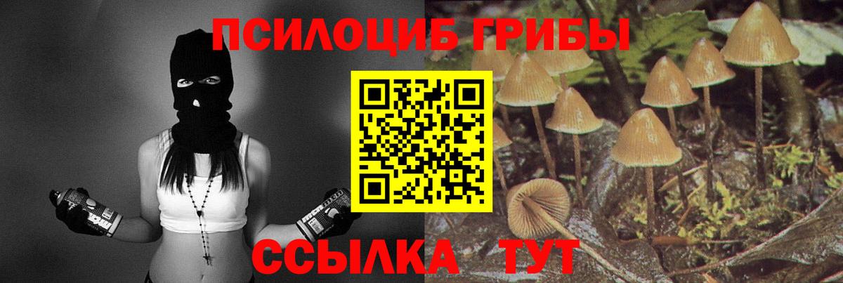 Галлюциногенные грибы GOLDEN TEACHER  Псилоцибиновые грибы прущие грибы  Абинск 