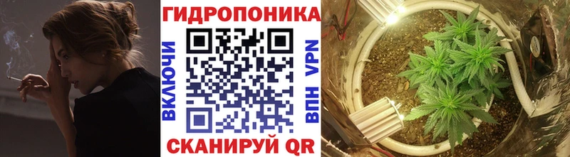 Марихуана White Widow  наркотики  Абинск 